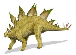 stegosaurus_a